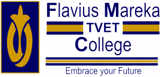 flaviusmarekalearn.coltech.co.za